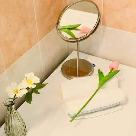 Statutos Heart Apartment Turin